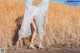 A woman in a white dress standing in a field of wheat.